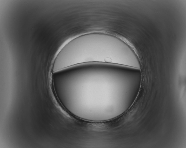 X0000086771383200704130827