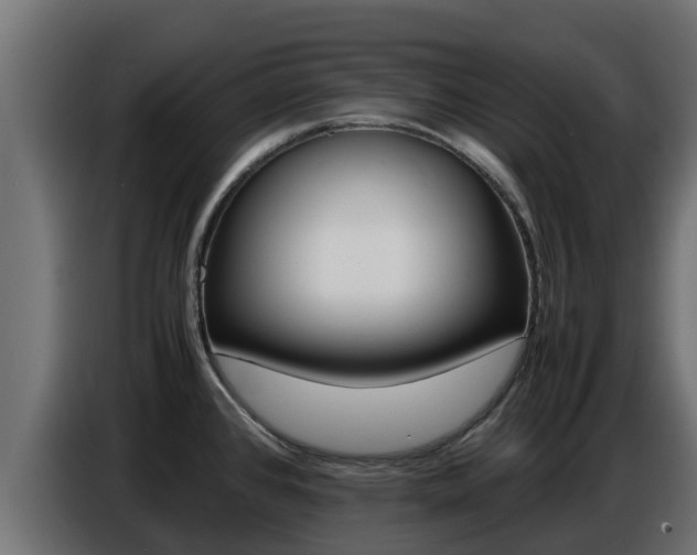 X0000086771384200704130827
