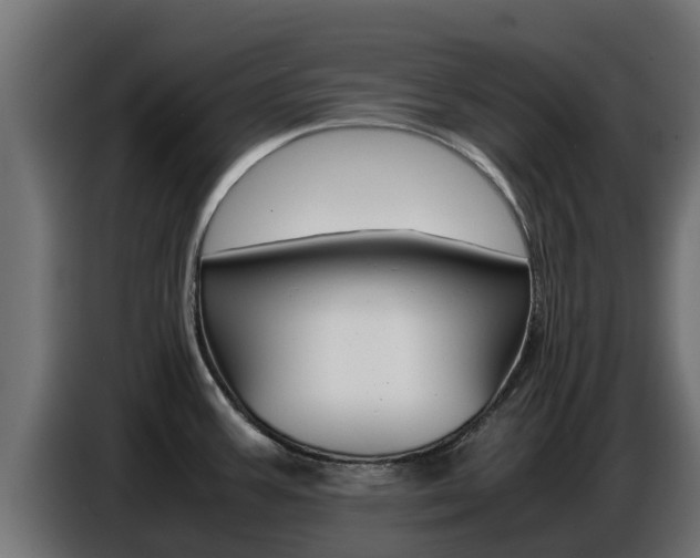 X0000086771387200704130827