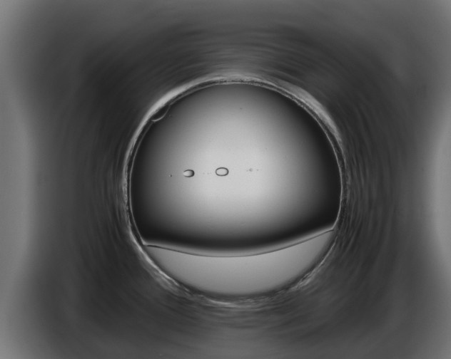 X0000086771388200704130827
