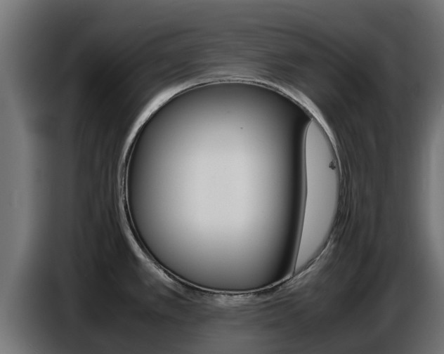 X0000086771389200704130827
