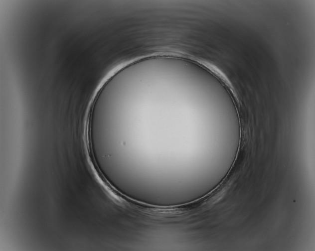 X0000086771391200704130827