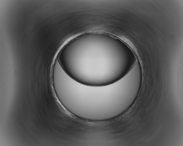 X0000086771392200704130827