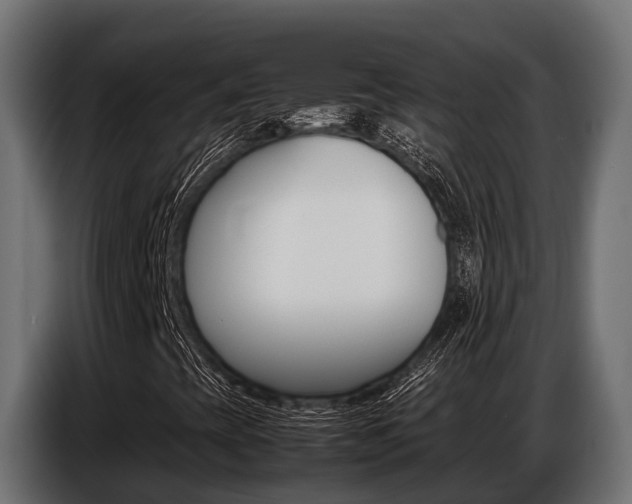 X0000086771393200704130826
