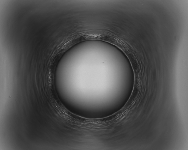 X0000086771394200704130826