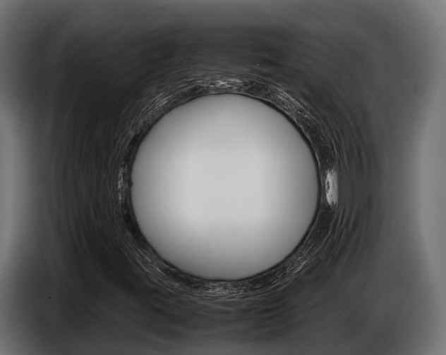 X0000086771395200704130826