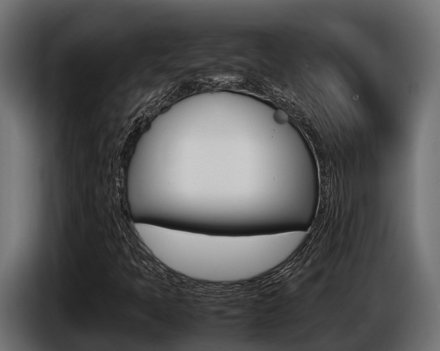 X0000086771397200704130826
