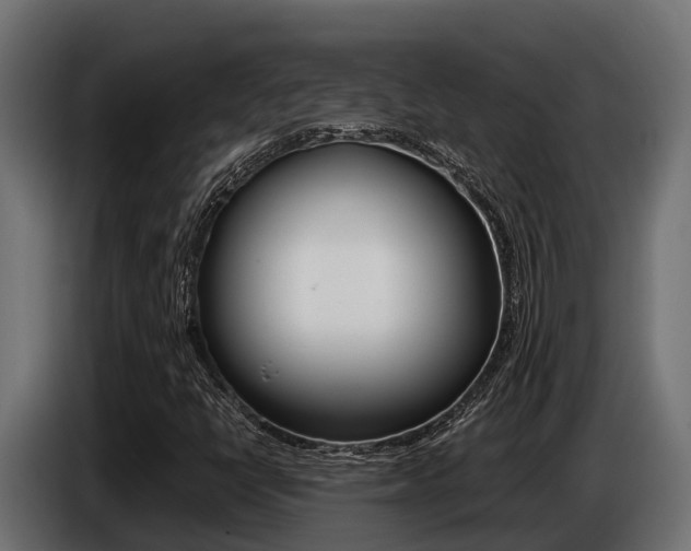 X0000086771398200704130826