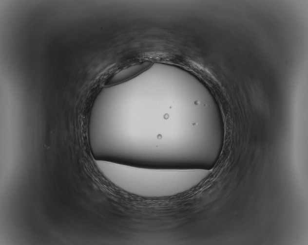 X0000086771399200704130826