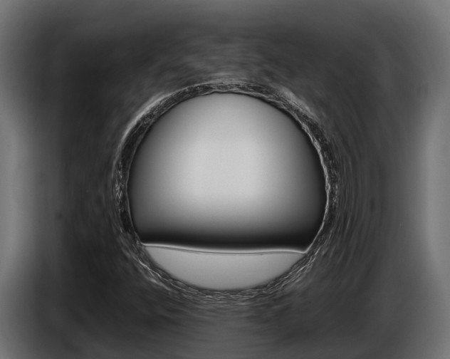 X0000086771400200704130826