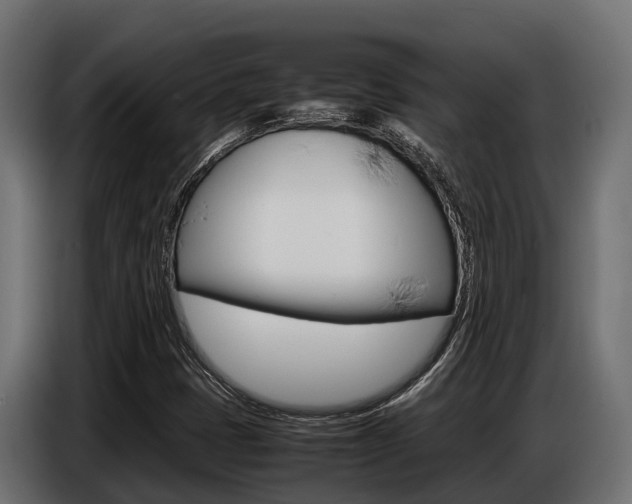 X0000086771401200704130826