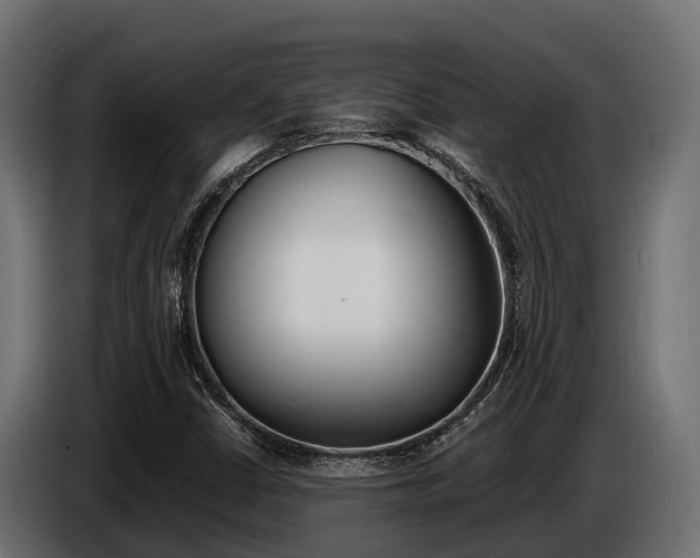 X0000086771402200704130826