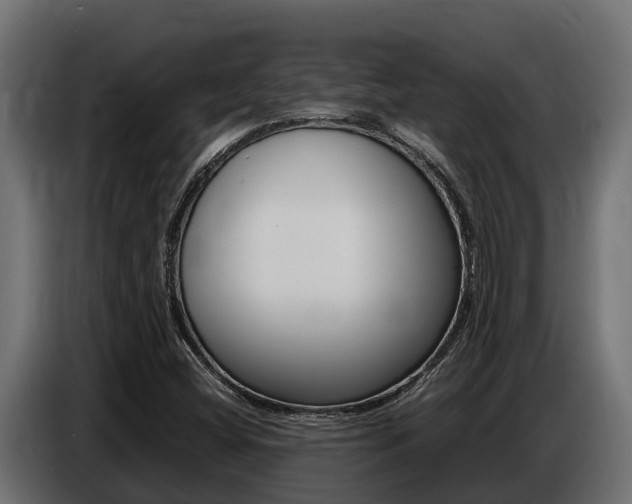 X0000086771404200704130826