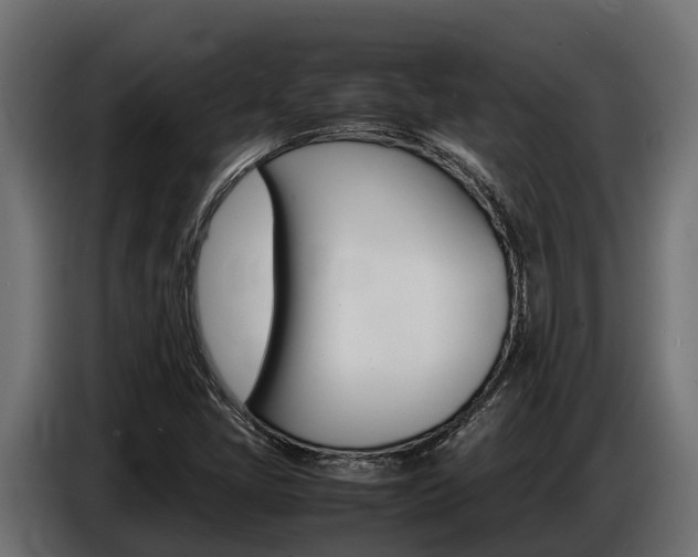 X0000086771405200704130826