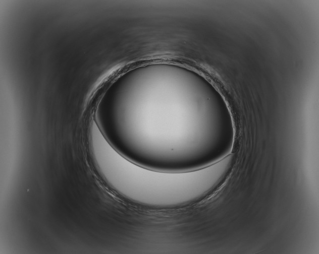 X0000086771406200704130826