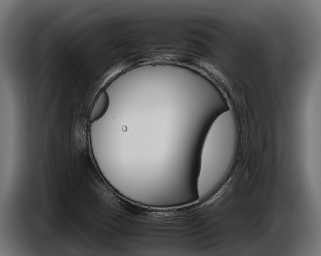 X0000086771409200704130826