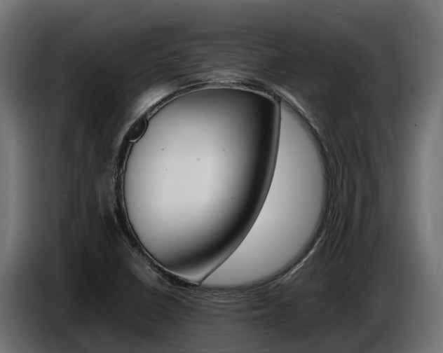 X0000086771410200704130826