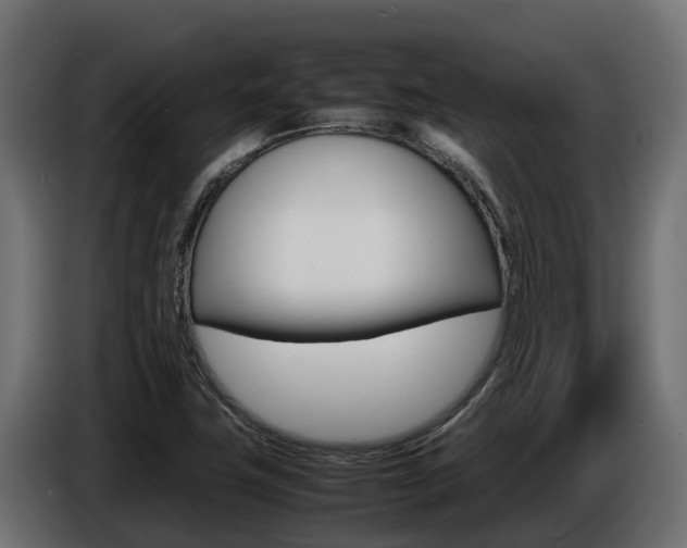 X0000086771411200704130826