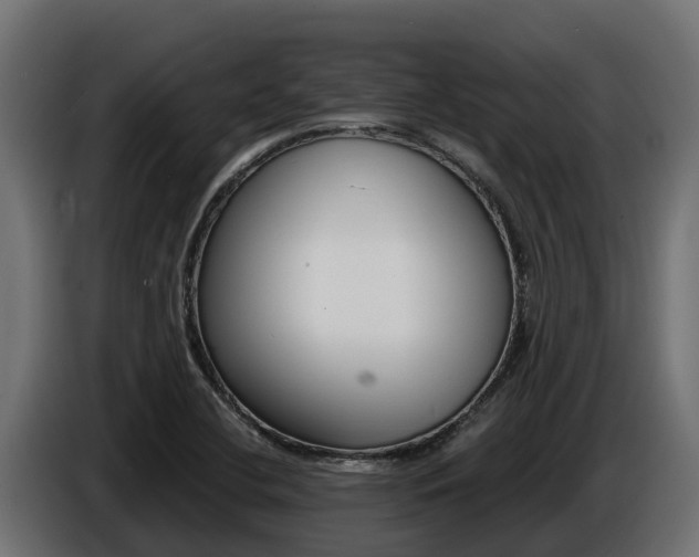 X0000086771412200704130826