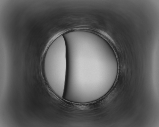 X0000086771413200704130826