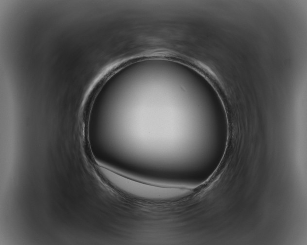 X0000086771414200704130826