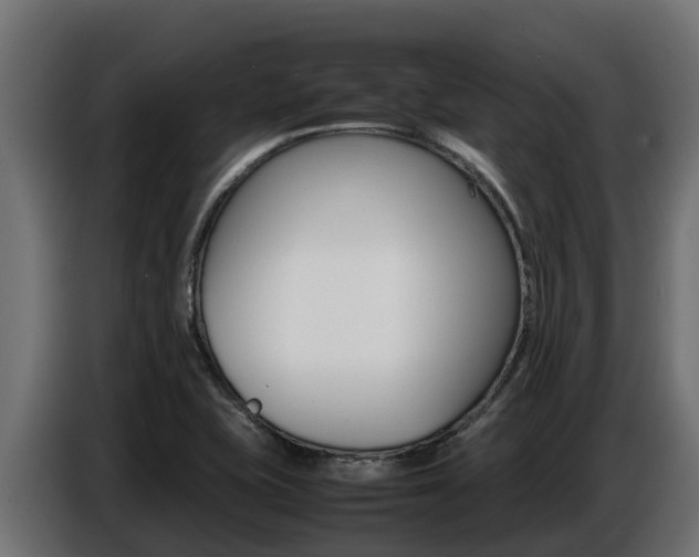 X0000086771415200704130826
