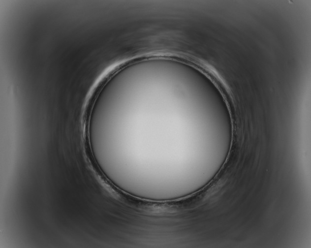 X0000086771416200704130826