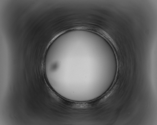 X0000086771417200704130826