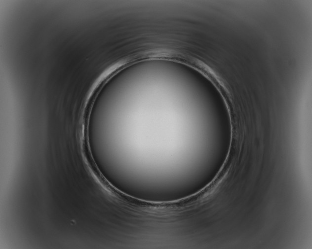X0000086771418200704130826