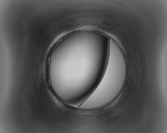 X0000086771422200704130826
