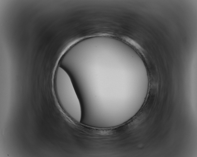 X0000086771423200704130826