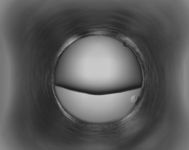 X0000086771425200704130826
