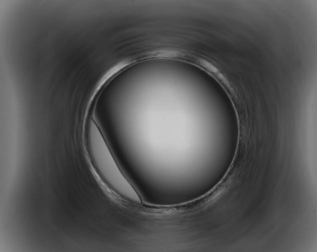 X0000086771426200704130826