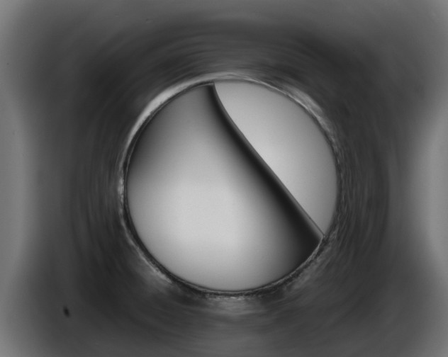 X0000086771428200704130826