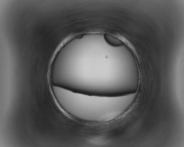 X0000086771429200704130826