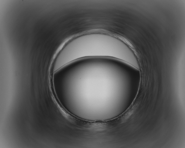 X0000086771430200704130826