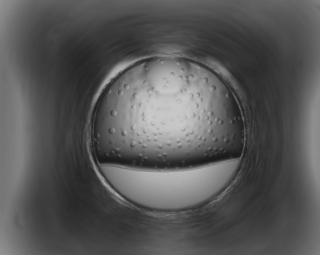 X0000086771432200704130826
