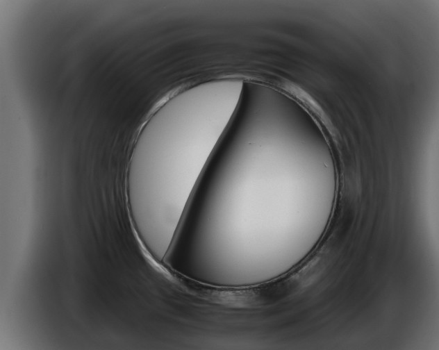 X0000086771433200704130826