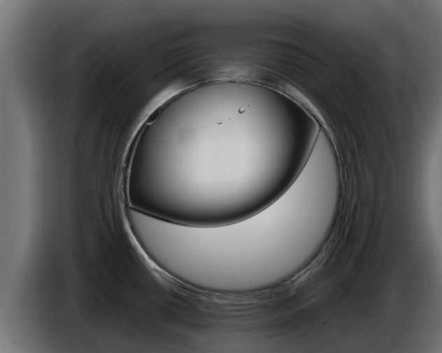 X0000086771434200704130827