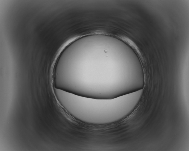 X0000086771435200704130827