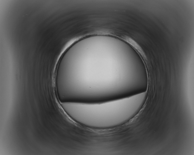 X0000086771436200704130827