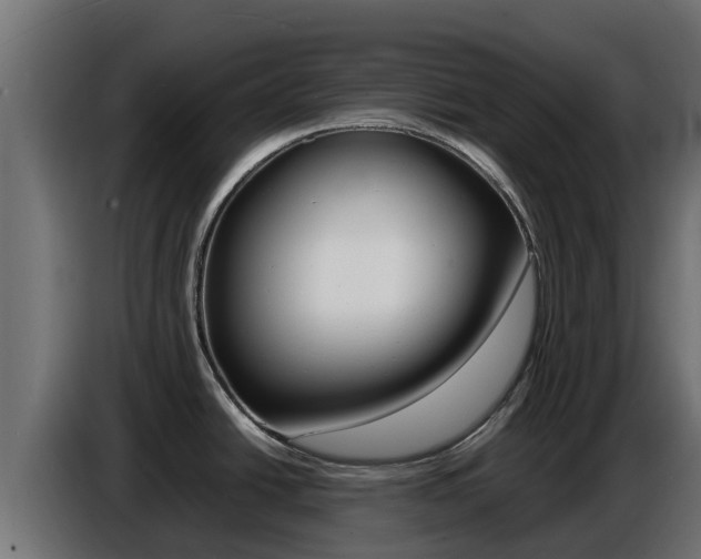 X0000086771438200704130827