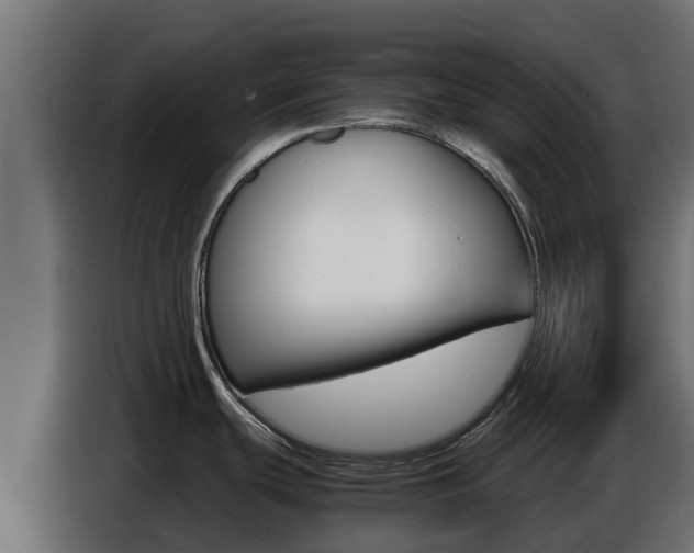 X0000086771439200704130827