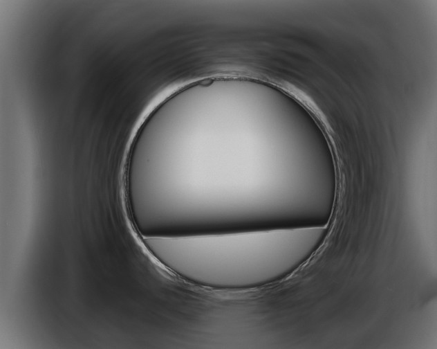 X0000086771440200704130827