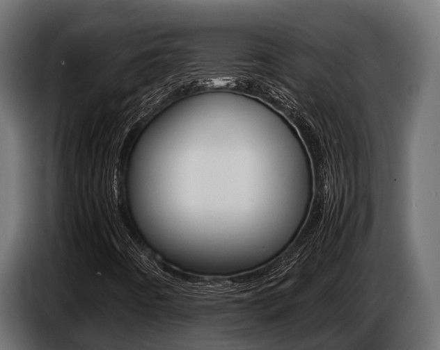 X0000086771442200704130826