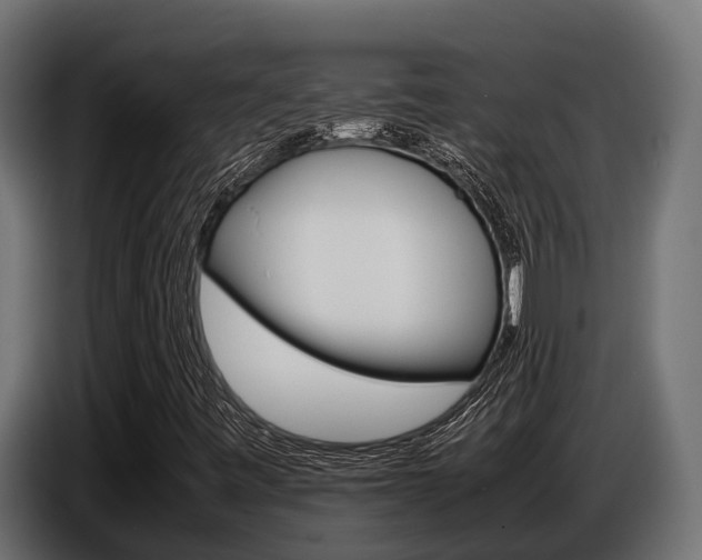 X0000086771443200704130826