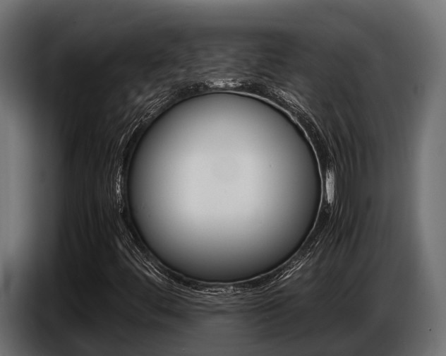 X0000086771444200704130826