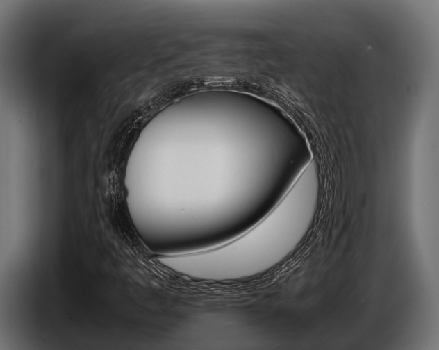 X0000086771445200704130826