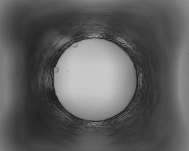 X0000086771446200704130826