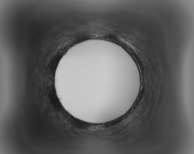 X0000086771447200704130826